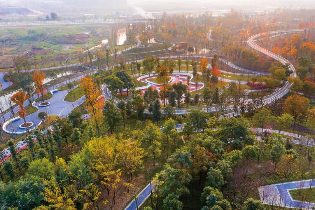 三甲医院来了新川配套再升级