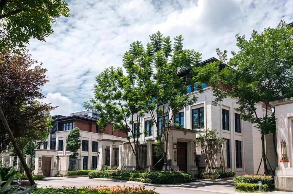 底气何在?听听他们怎么说——-成都天府软件园—国家级软件产业基地