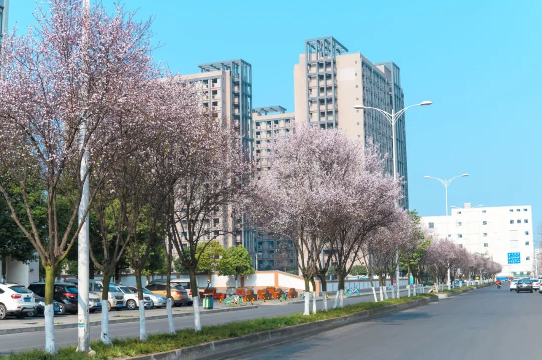 幸福感 3.jpg